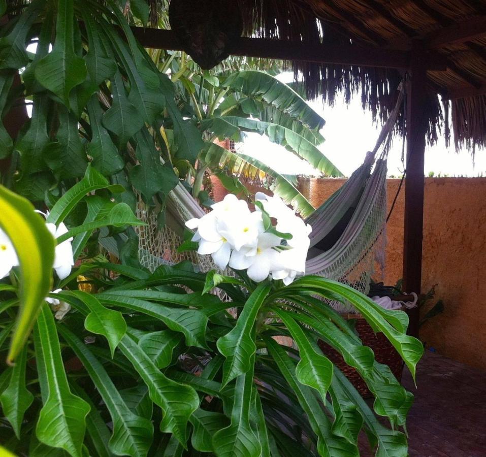 Casa Do Jardim Bed & Breakfast Каноа Кебрада Екстериор снимка